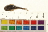  ( - OL-0200)  @11 [ ] CreativeCommons - Attribution (2009) Unspecified Centre for Biodiversity Genomics