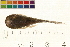 ( - OL-0205)  @11 [ ] CreativeCommons - Attribution (2009) Unspecified Centre for Biodiversity Genomics