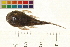  ( - OL-0206)  @11 [ ] CreativeCommons - Attribution (2009) Unspecified Centre for Biodiversity Genomics