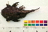  ( - OL-0139)  @13 [ ] CreativeCommons - Attribution (2010) Unspecified Centre for Biodiversity Genomics