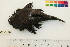  ( - OL-0140)  @14 [ ] CreativeCommons - Attribution (2010) Unspecified Centre for Biodiversity Genomics