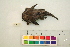  ( - OL-0467)  @13 [ ] CreativeCommons - Attribution (2010) Unspecified Centre for Biodiversity Genomics