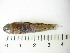  ( - ADC_Smith240.20#2)  @11 [ ] CreativeCommons - Attribution Non-Commercial Share-Alike (2011) Allan D. Connell Research Collection of Allan Connell