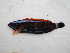  ( - ADC2013 220.50 #2)  @12 [ ] CreativeCommons - Attribution Non-Commercial No Derivatives (2013) Allan D Connell Allan D Connell