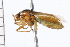  ( - 06-PROBE-0015)  @13 [ ] CreativeCommons - Attribution (2009) Unspecified Centre for Biodiversity Genomics