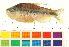  ( - OL-0734)  @15 [ ] CreativeCommons - Attribution (2012) CBG Photography Group Centre for Biodiversity Genomics