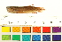  ( - OL-0665)  @11 [ ] CreativeCommons - Attribution (2012) CBG Photography Group Centre for Biodiversity Genomics