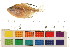  ( - OL-0390)  @11 [ ] CreativeCommons - Attribution (2009) Unspecified Centre for Biodiversity Genomics