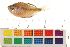  ( - OL-0405)  @11 [ ] CreativeCommons - Attribution (2009) Unspecified Centre for Biodiversity Genomics