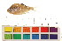  ( - OL-0415)  @11 [ ] CreativeCommons - Attribution (2009) Unspecified Centre for Biodiversity Genomics