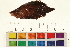  ( - OL-0592)  @11 [ ] CreativeCommons - Attribution (2009) Unspecified Centre for Biodiversity Genomics