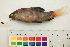  ( - OL-0350)  @13 [ ] CreativeCommons - Attribution (2010) Unspecified Centre for Biodiversity Genomics
