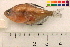  ( - OL-0374)  @11 [ ] CreativeCommons - Attribution (2010) Unspecified Centre for Biodiversity Genomics