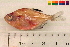  ( - OL-0392)  @11 [ ] CreativeCommons - Attribution (2010) Unspecified Centre for Biodiversity Genomics