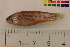  ( - OL-0495)  @11 [ ] CreativeCommons - Attribution (2010) Unspecified Centre for Biodiversity Genomics