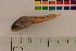  ( - OL-0496)  @11 [ ] CreativeCommons - Attribution (2010) Unspecified Centre for Biodiversity Genomics