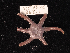  ( - ACEASCCC343.1)  @11 [ ] CreativeCommons - Attribution Share-Alike (2021) Unspecified British Antarctic Survey