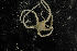  ( - jr275_939.7)  @12 [ ] CreativeCommons - Attribution Non-Commercial Share-Alike (2012) Chester Sands British Antarctic Survey