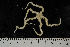  ( - jr275_914.45)  @13 [ ] CreativeCommons - Attribution Non-Commercial Share-Alike (2012) Chester Sands British Antarctic Survey