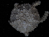  ( - 144_607.1.6)  @11 [ ] CreativeCommons - Attribution Share-Alike (2024) Chester Sands British Antarctic Survey
