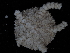  ( - 144_607.1.6)  @11 [ ] CreativeCommons - Attribution Share-Alike (2024) Chester Sands British Antarctic Survey