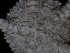  ( - 144_607.1.6)  @11 [ ] CreativeCommons - Attribution Share-Alike (2024) Chester Sands British Antarctic Survey