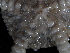  ( - 144_607.1.1)  @11 [ ] CreativeCommons - Attribution Share-Alike (2024) Chester Sands British Antarctic Survey