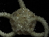 ( - 144_607.1.3)  @11 [ ] CreativeCommons - Attribution Share-Alike (2024) Chester Sands British Antarctic Survey