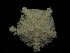  ( - 144_607.1.5)  @11 [ ] CreativeCommons - Attribution Share-Alike (2024) Chester Sands British Antarctic Survey