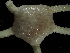  ( - JR144_608.1.2)  @11 [ ] CreativeCommons - Attribution Share-Alike (2024) Chester Sands British Antarctic Survey