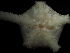  ( - JR144_608.1.8)  @11 [ ] CreativeCommons - Attribution Share-Alike (2024) Chester Sands British Antarctic Survey