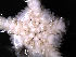  ( - PS77_286-1.6)  @12 [ ] CreativeCommons - Attribution Non-Commercial Share-Alike (2011) Chester Sands British Antarctic Survey