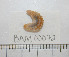  ( - BAM00072)  @13 [ ] CreativeCommons - Attribution (2010) Unspecified Centre for Biodiversity Genomics