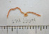  ( - BAM00099)  @12 [ ] CreativeCommons - Attribution (2010) Unspecified Centre for Biodiversity Genomics