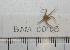  ( - BAM00105)  @13 [ ] CreativeCommons - Attribution (2010) Unspecified Centre for Biodiversity Genomics