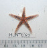  ( - HUNT0023)  @13 [ ] CreativeCommons - Attribution (2010) Unspecified Centre for Biodiversity Genomics