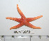  ( - HUNT0070)  @13 [ ] CreativeCommons - Attribution (2010) Unspecified Centre for Biodiversity Genomics
