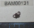  ( - BAM00131)  @12 [ ] CreativeCommons - Attribution (2010) Unspecified Centre for Biodiversity Genomics