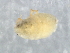  ( - P1107-2)  @12 [ ] CreativeCommons - Attribution (2009) Unspecified Centre for Biodiversity Genomics