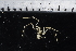  ( - JD_PS77_260-6.3.1)  @12 [ ] CreativeCommons - Attribution Non-Commercial Share-Alike (2011) Chester Sands British Antarctic Survey