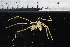  ( - JD_PS77_286-1.4.1)  @11 [ ] CreativeCommons - Attribution Non-Commercial Share-Alike (2011) Chester Sands British Antarctic Survey
