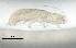  ( - Bb2 795 h1)  @11 [ ] CreativeCommons - Attribution (2012) CBG Photography Group Centre for Biodiversity Genomics