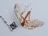  ( - NHMUK010636372)  @11 [ ] Unspecified (default): All Rights Reserved  Unspecified Unspecified