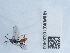  ( - NHMUK010636400)  @11 [ ] Unspecified (default): All Rights Reserved  Unspecified Unspecified