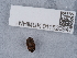  ( - NHMUK011520947)  @11 [ ] Unspecified (default): All Rights Reserved  Unspecified Unspecified