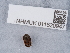  ( - NHMUK011520947)  @11 [ ] Unspecified (default): All Rights Reserved  Unspecified Unspecified
