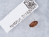  ( - NHMUK011520947)  @11 [ ] Unspecified (default): All Rights Reserved  Unspecified Unspecified