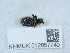  ( - NHMUK012857740)  @11 [ ] Unspecified (default): All Rights Reserved  Unspecified Unspecified