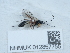  ( - NHMUK012857755)  @11 [ ] Unspecified (default): All Rights Reserved  Unspecified Unspecified
