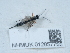  ( - NHMUK012857755)  @11 [ ] Unspecified (default): All Rights Reserved  Unspecified Unspecified